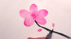 how to paint cherry blossom with watercolor