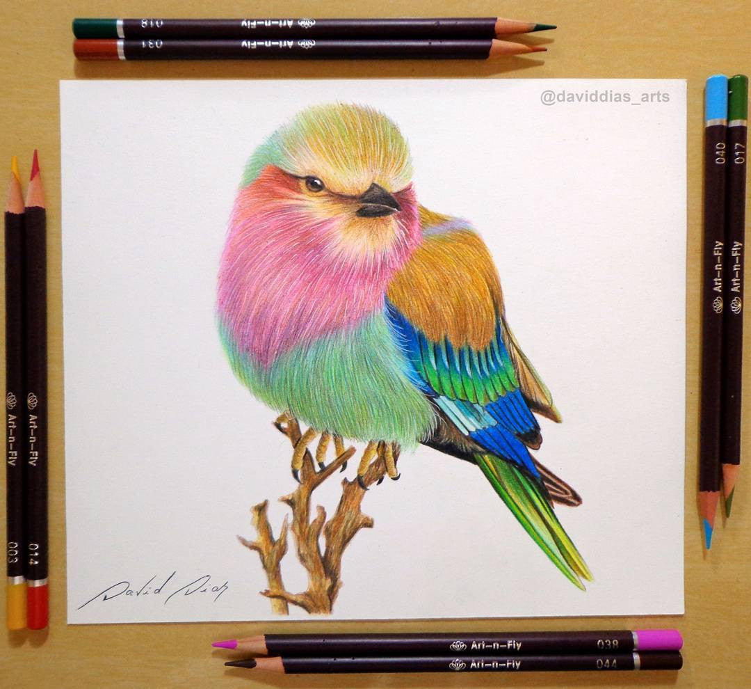 colored pencil art
